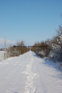 Winterspaziergang